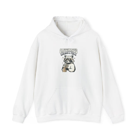 Feral Raccoon Moonlit Wilderness Hoodie | Trash Panda Aesthetic