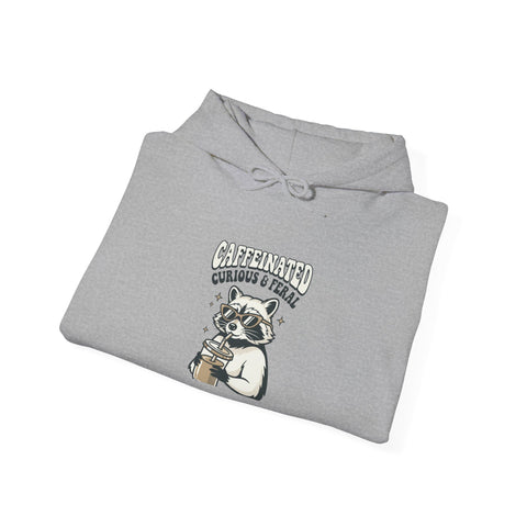 Feral Raccoon Moonlit Wilderness Hoodie | Trash Panda Aesthetic