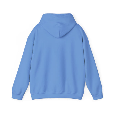 Feral Raccoon Moonlit Wilderness Hoodie | Trash Panda Aesthetic