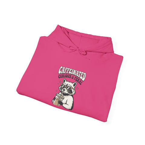 Feral Raccoon Moonlit Wilderness Hoodie | Trash Panda Aesthetic