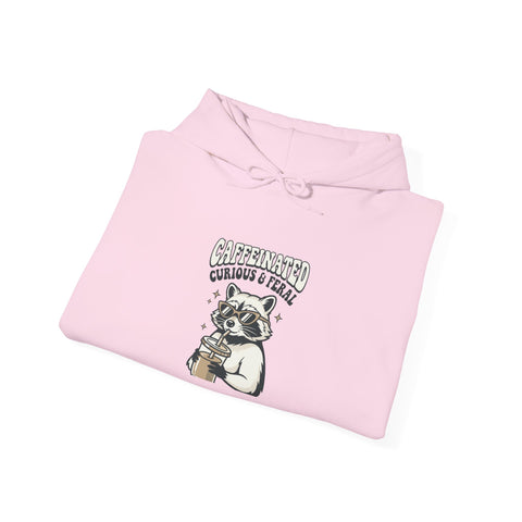 Feral Raccoon Moonlit Wilderness Hoodie | Trash Panda Aesthetic