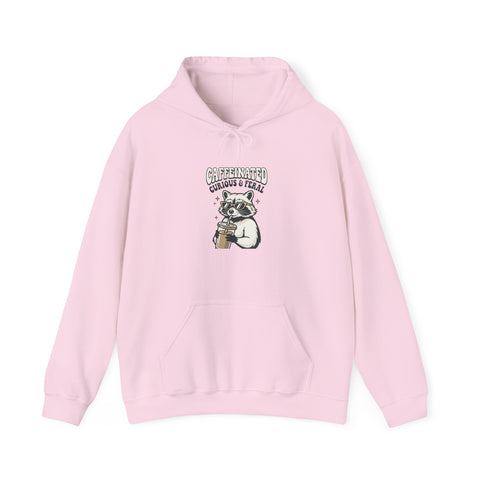 Feral Raccoon Moonlit Wilderness Hoodie | Trash Panda Aesthetic